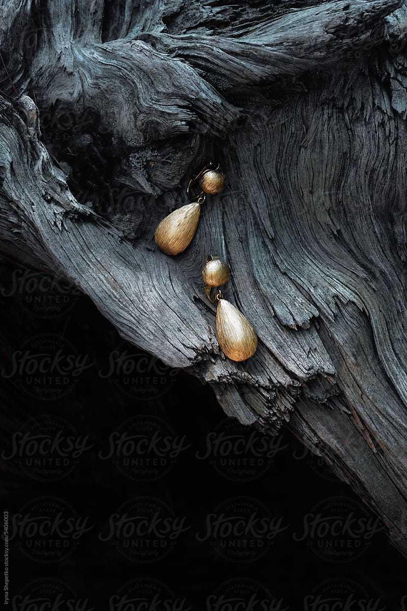 gold jewelry earrings on driftwood, creative