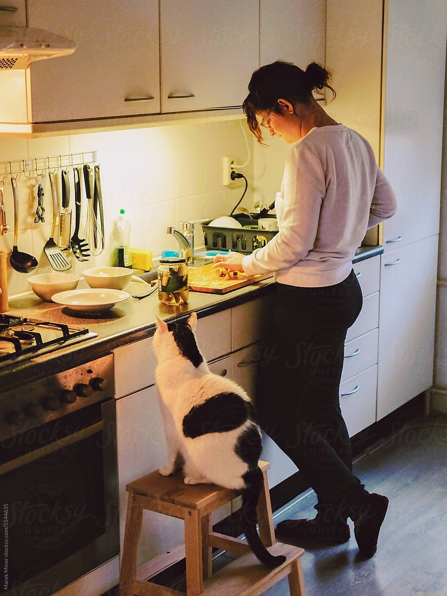 Woman cooking dinner at home with a feline assistant