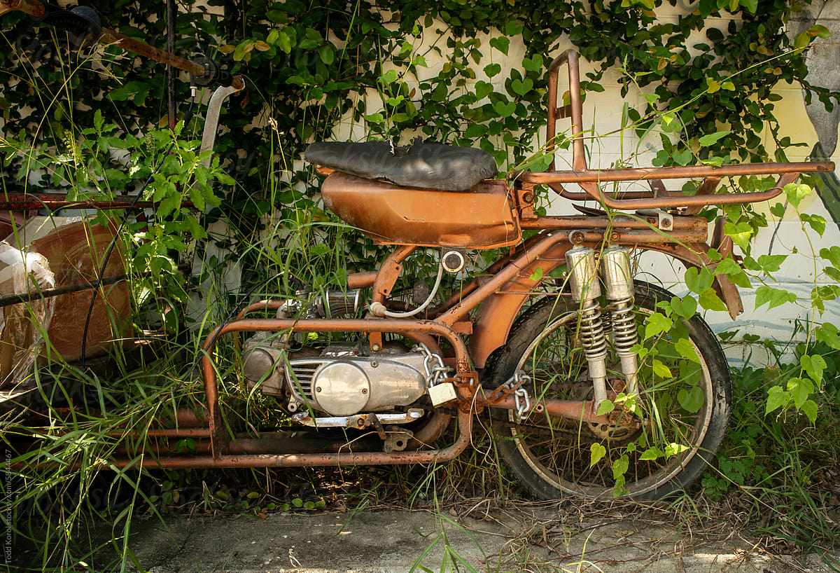 An old motorcycle in a bush.