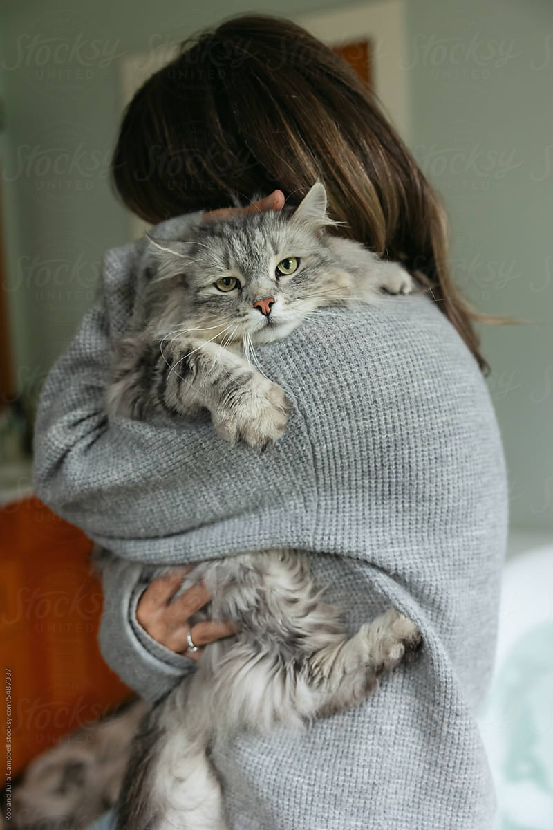 Furry cat getting hugs from woman.