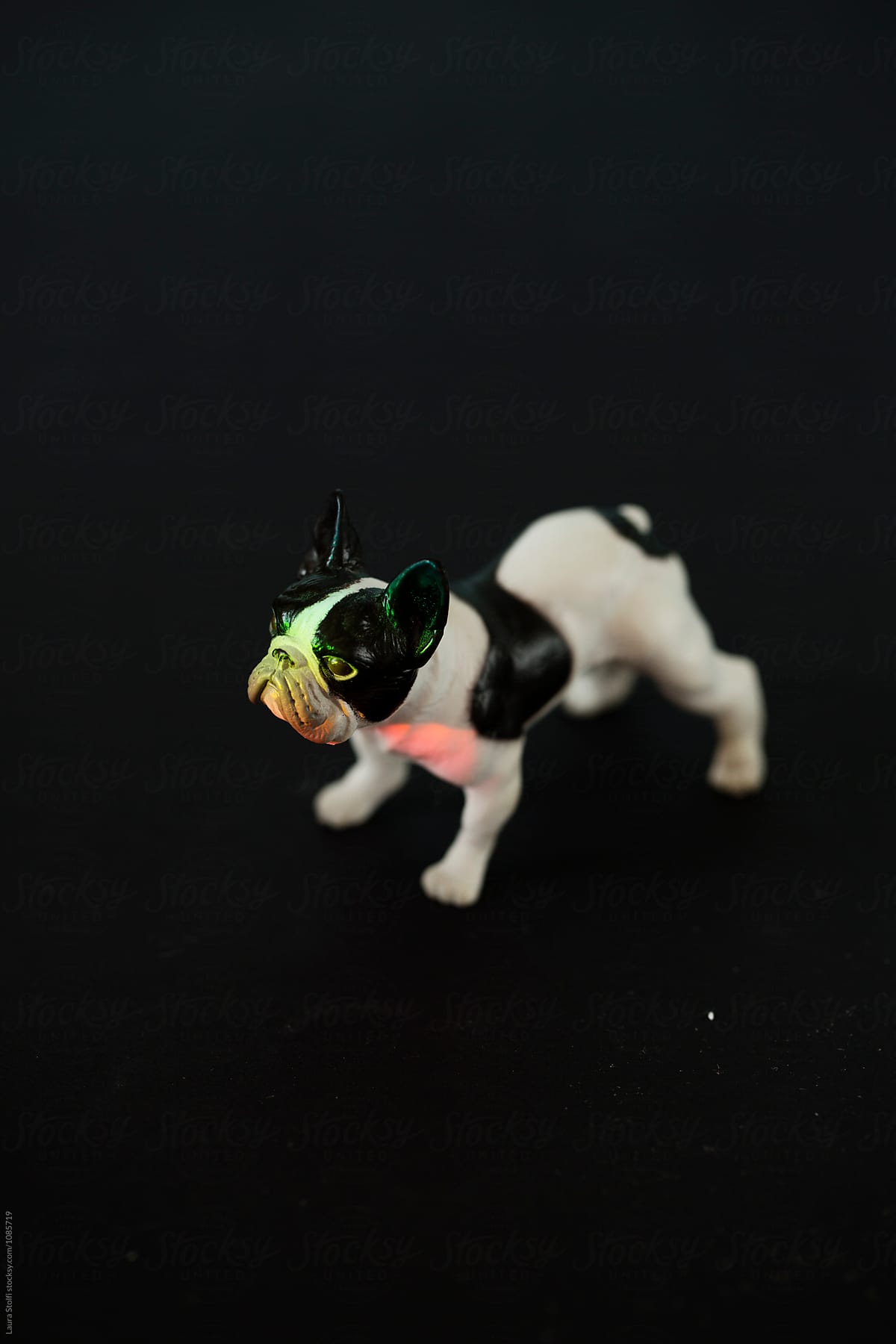 French bulldog toy on black background and rainbow lights