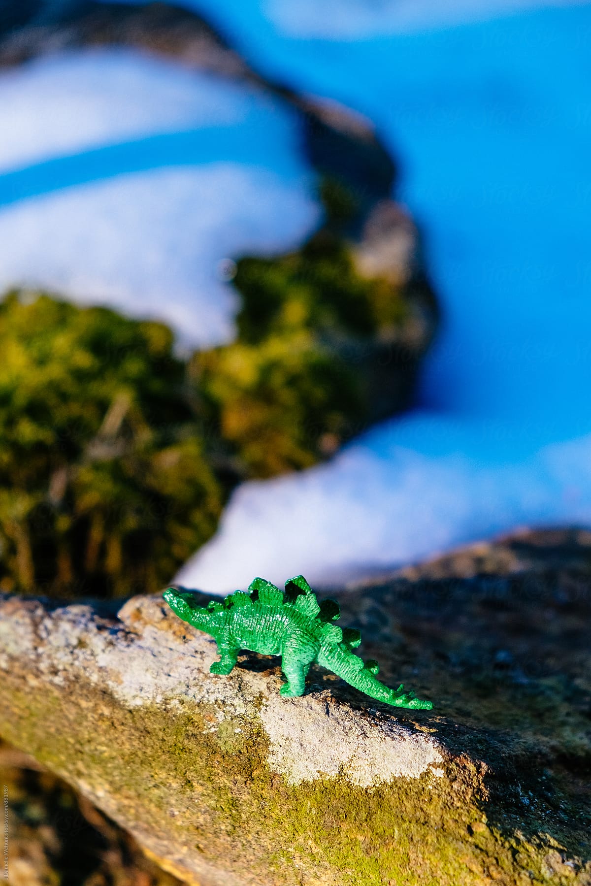 A miniature plastic dinosaur roaming in the snow.