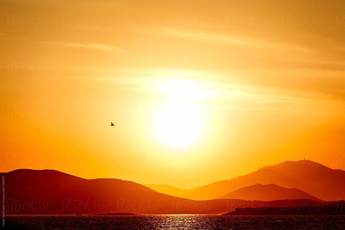 sunset over the sea and mountains, with a bird in flight