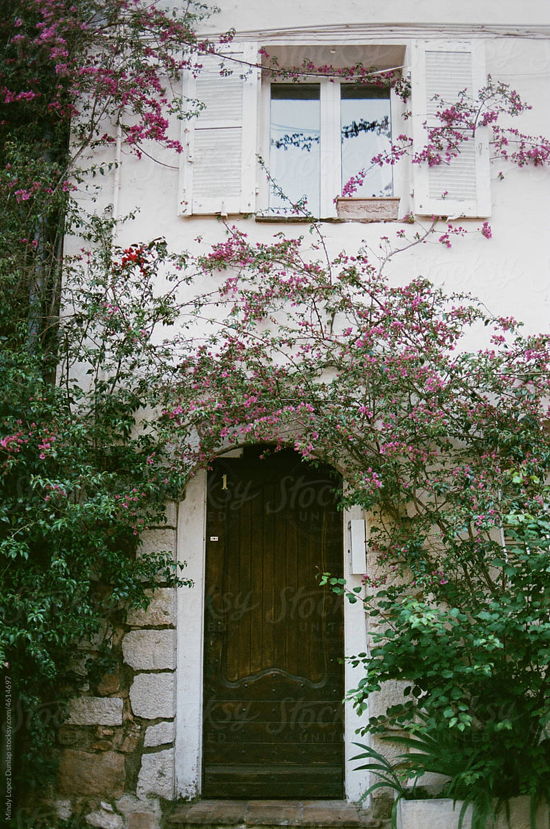 Detail of door of a Parisian home
