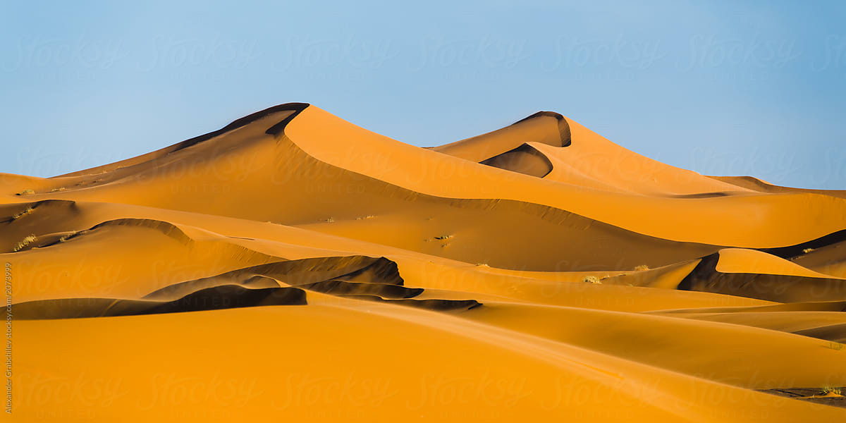 Sand dunes of the Sahara desert
