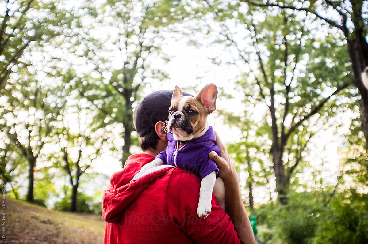 Man holding a french bulldog with hoddies looking back.
