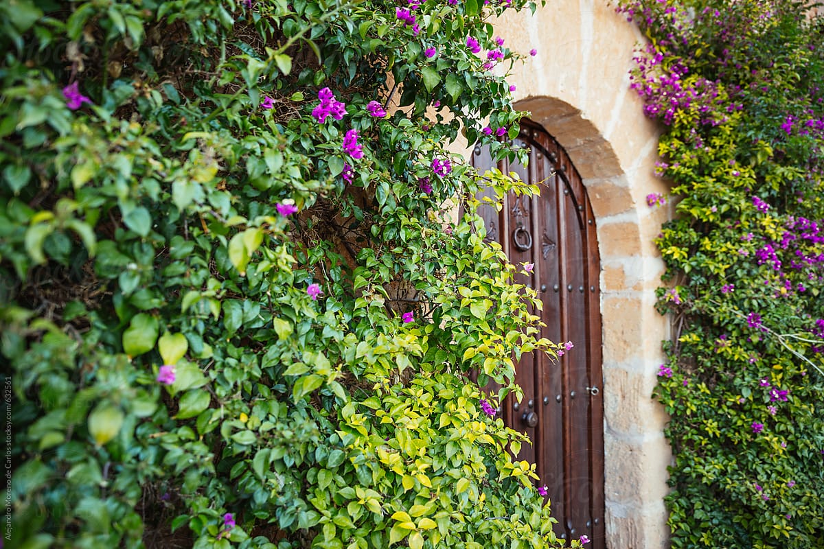 Door of a villa rustic house surrounded by plants and flowers