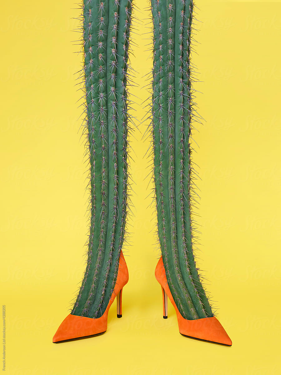 Prickly Legs