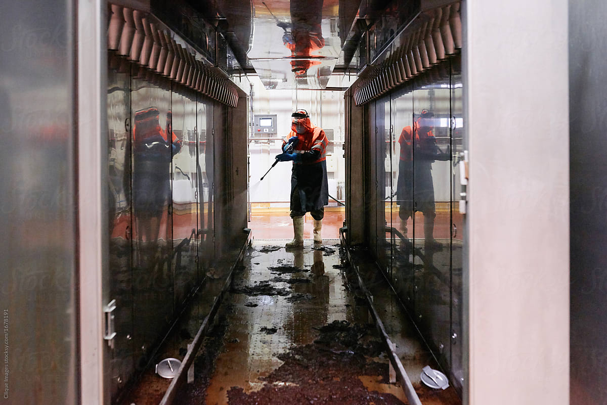 Meat plant worker cleaning cameras