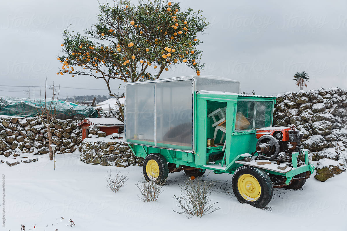 A snow-covered garden and a mint truck.