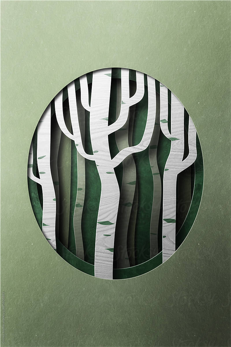 Green birch tree forest illustration