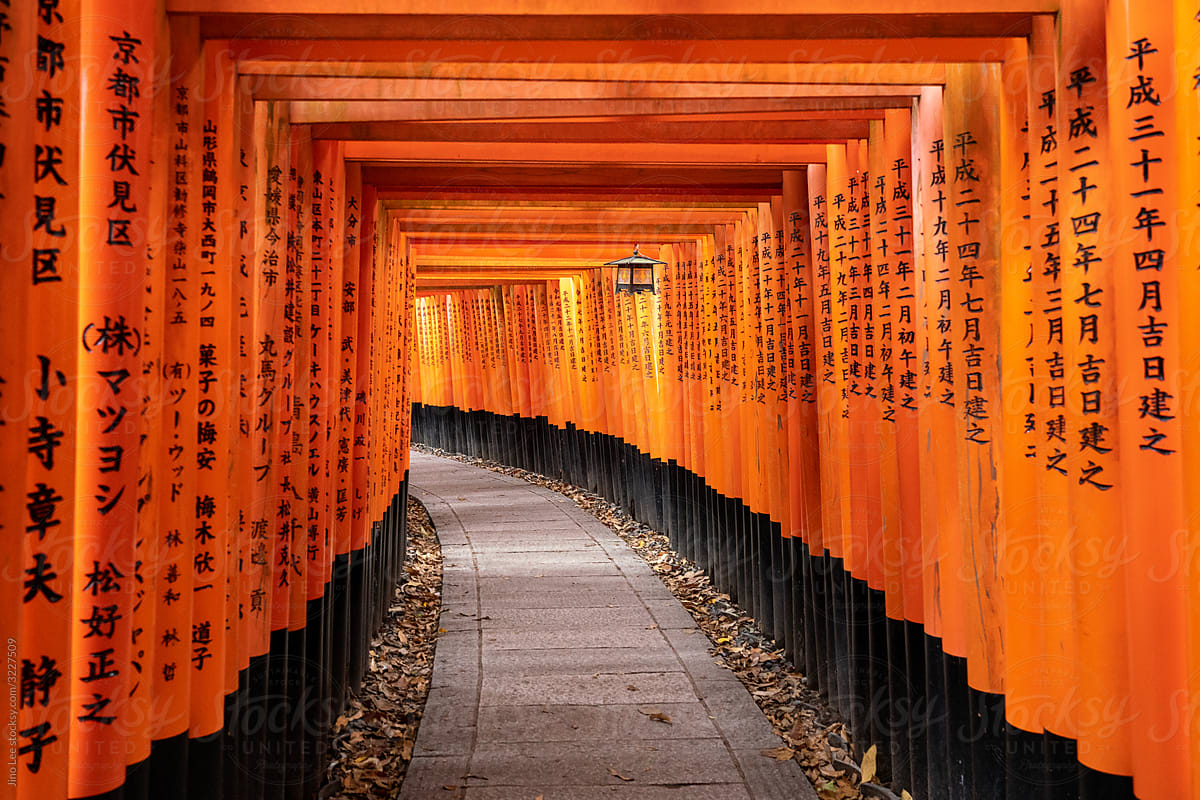 Fushimi Inari Shrine In Kyoto Japan By Jino Lee Stocksy United