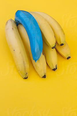Blue Banana And Peel Bananas On Purple Background by Stocksy Contributor  Igor Madjinca - Stocksy