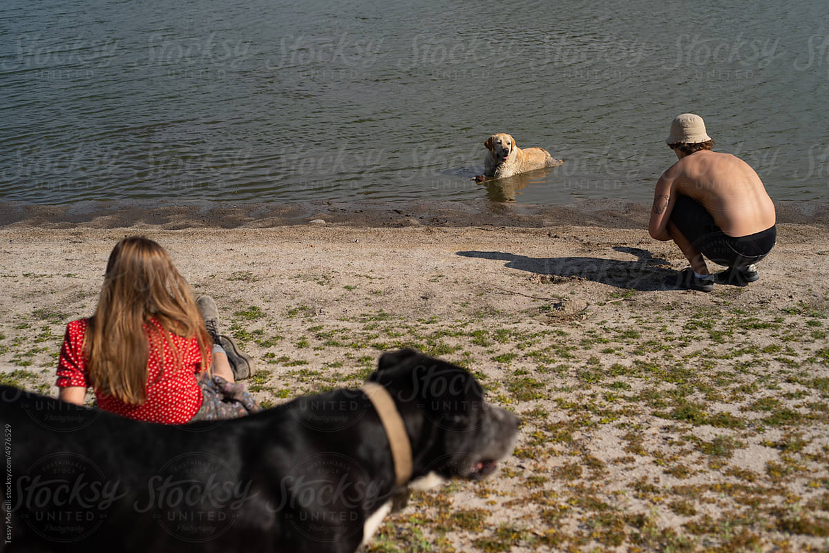 Candid scene with family and dogs relaxing