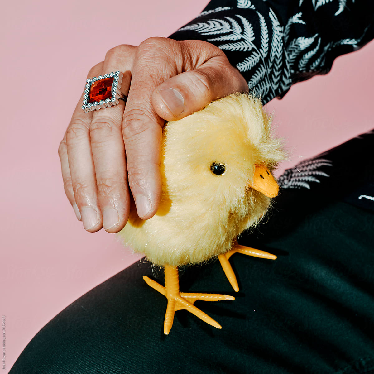 man pets a yellow toy chick