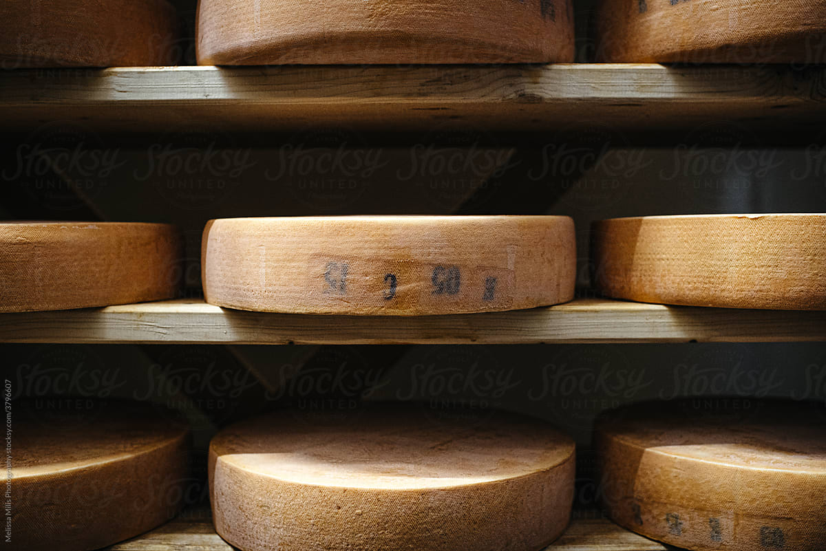 Cheese aging in a cellar on wooden racks