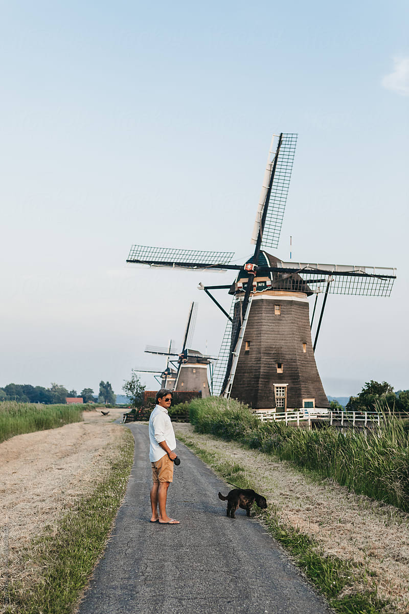 Man walking his dog on a path with Dutch windmills as scenery