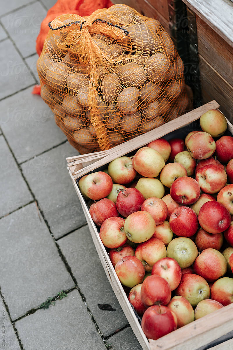 Fresh farm apples and potatoes ready for market