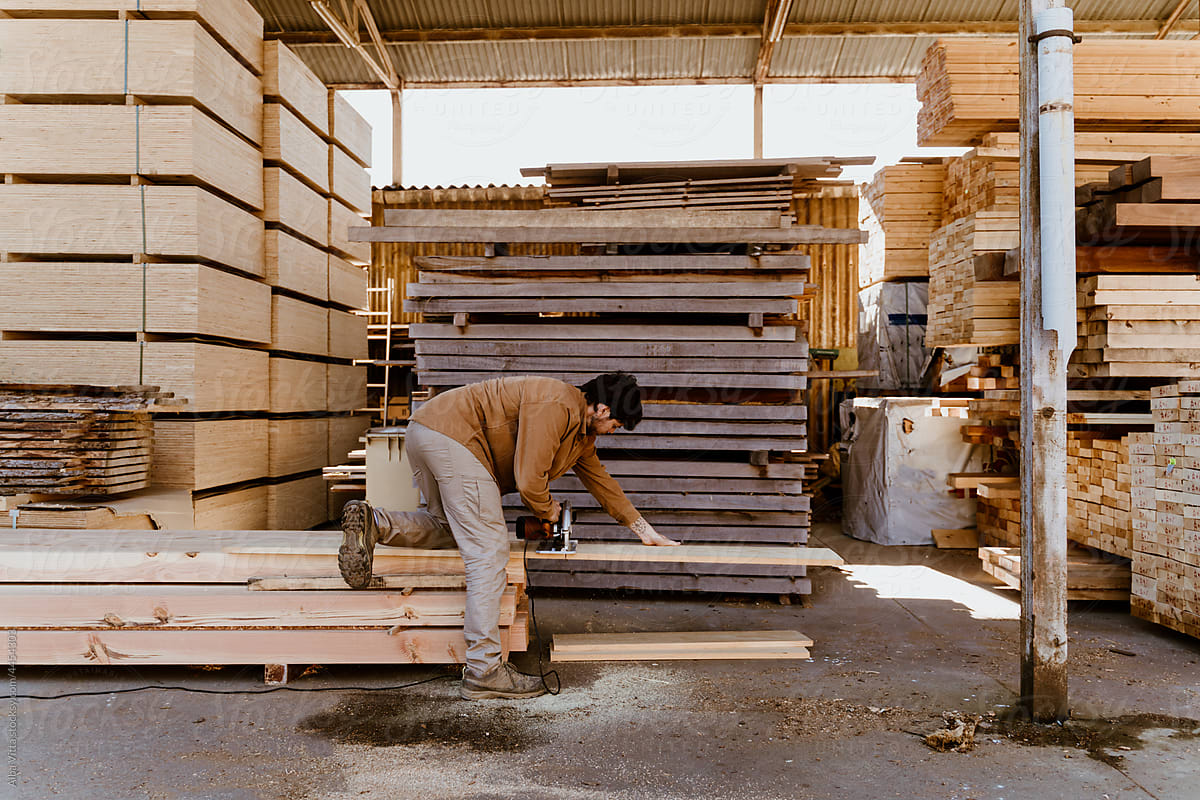 Portrait of young man sawing Wooden boards at lumber mill in a barn