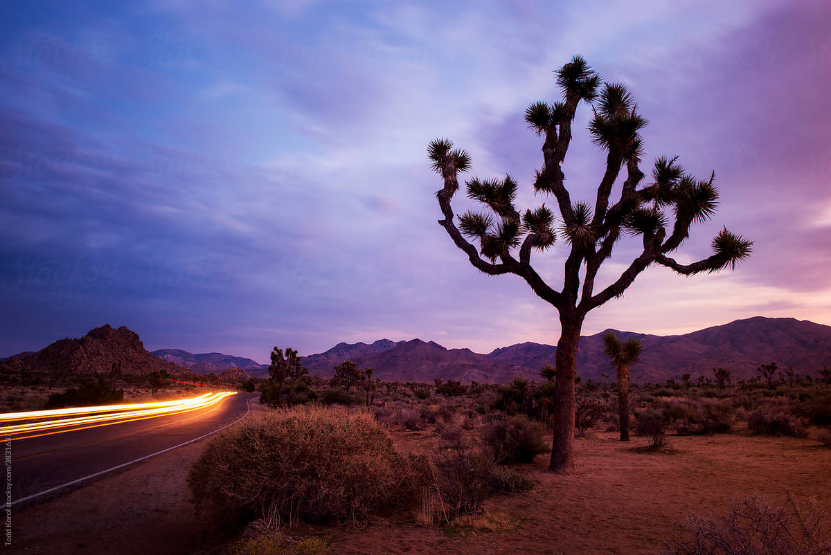 A car travels through the night desert.