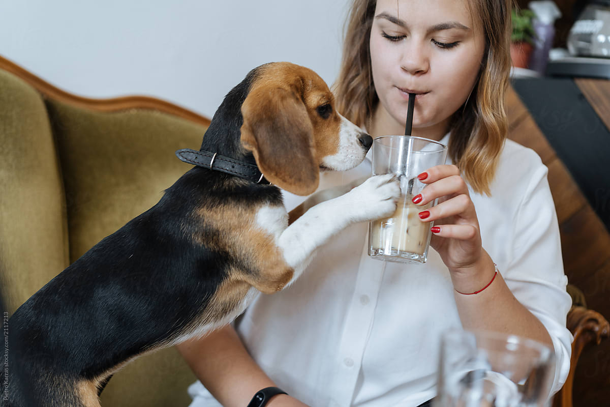 Woman with drink and curious dog near