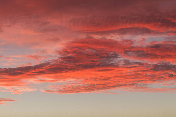 Pink Sunset by Stocksy Contributor Pixel Stories - Stocksy