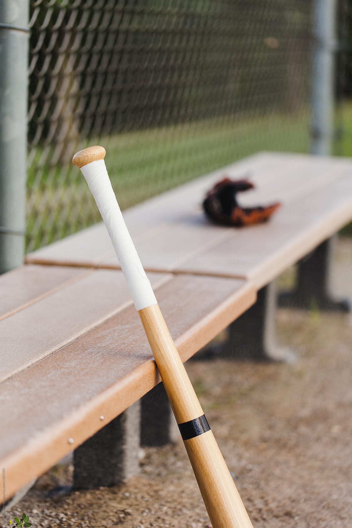 Baseball bat leaning against the dugout bench