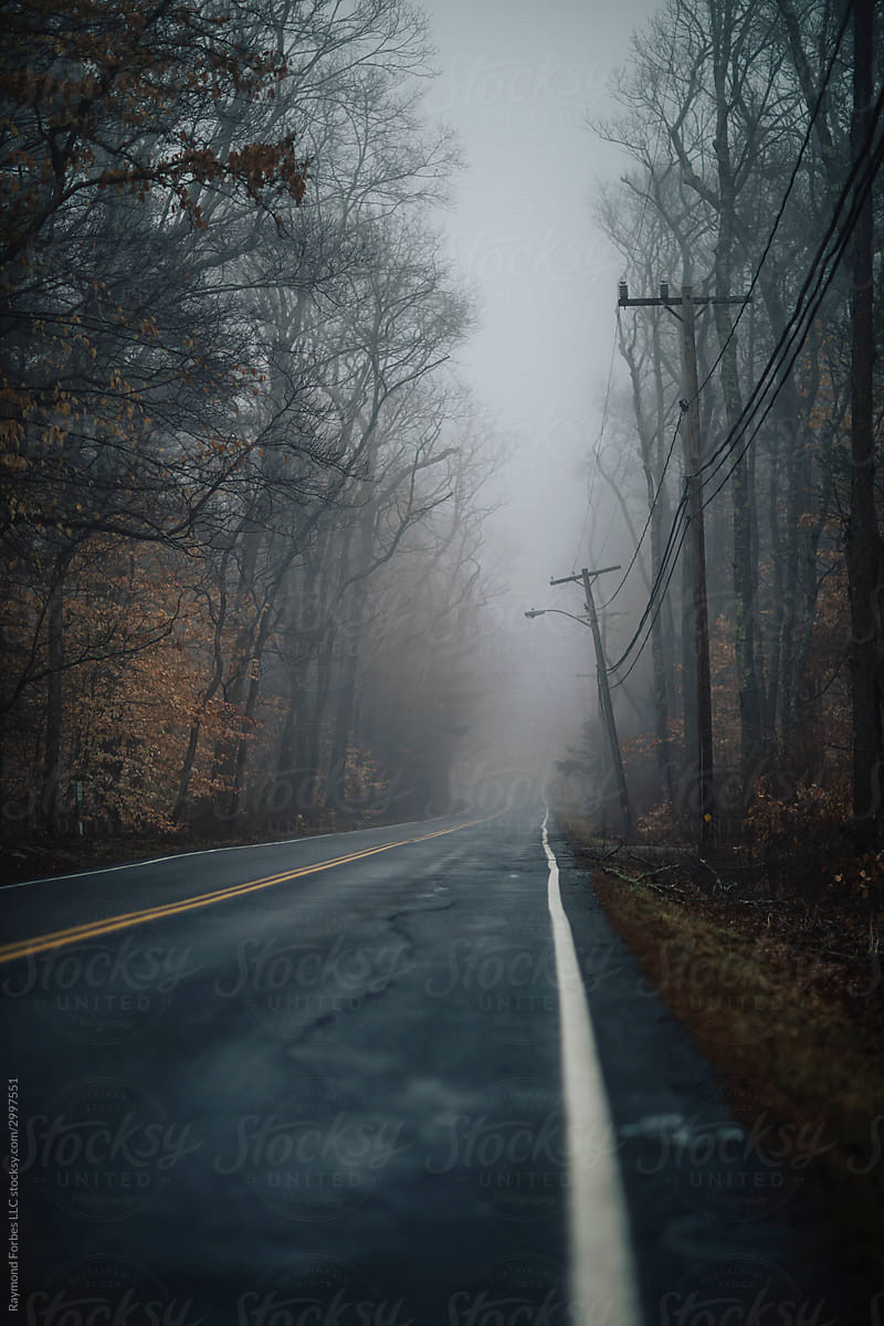Rural Road with Moody spooky Fog
