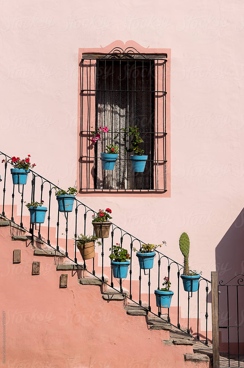 Facade with grille and flowerpots