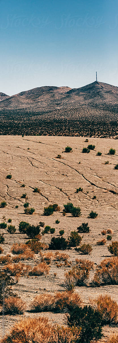 Vertical Panorama of California Desert Landscape