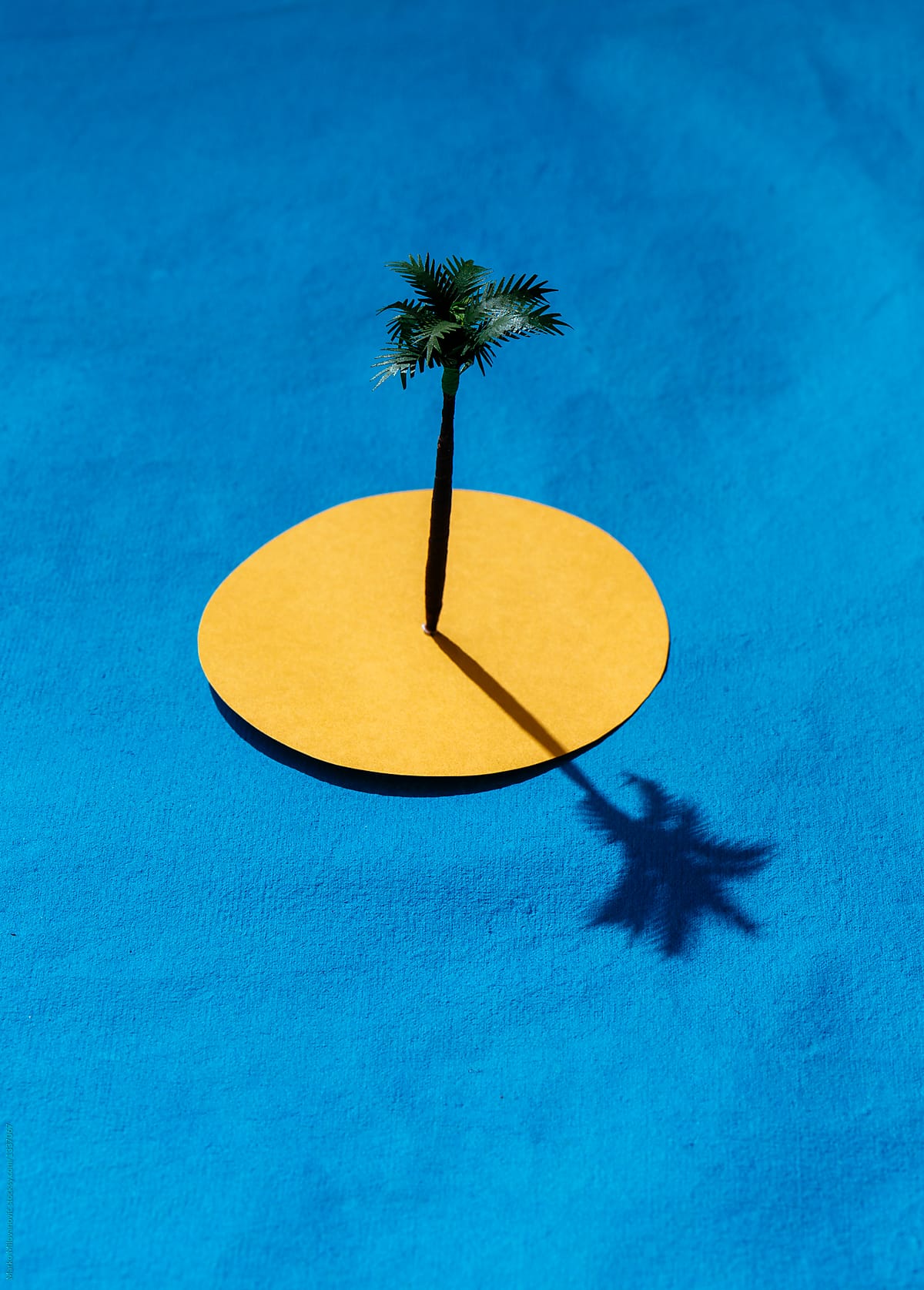 One coconut tree on beach on isolated island / Still life concept