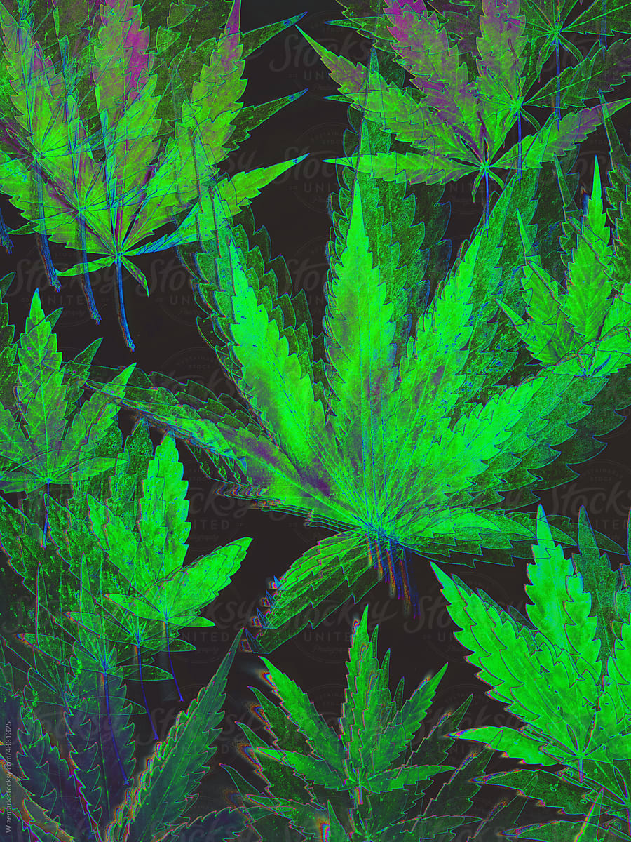 Fuzzy, blurred marijuana, cannabis background