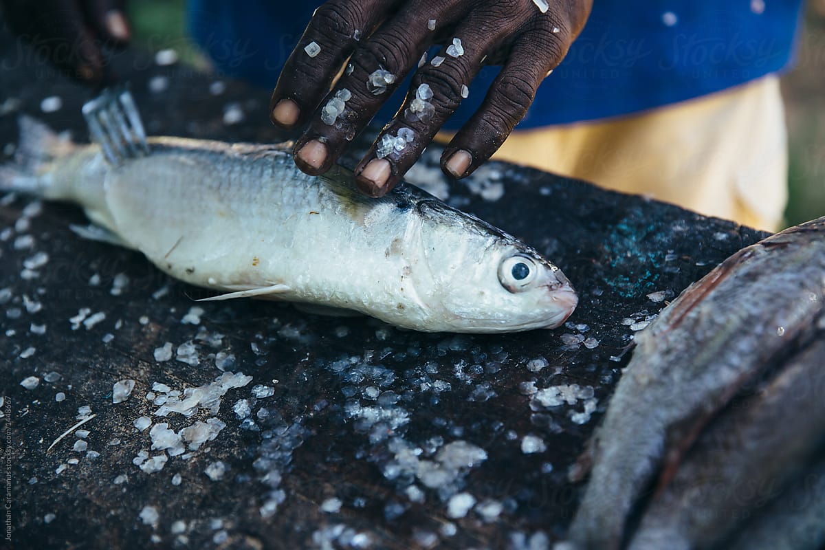 Rural African villager scaling a fish