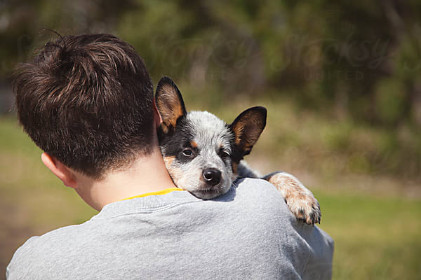 Animals By Natalie Jeffcott A Collection Of Stock Imagery Available Royalty Free From Stocksy United