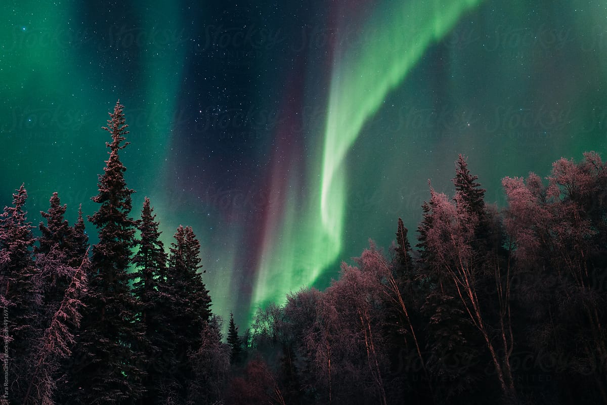 Aurora Borealis Outside Of Fairbanks Alaska By Stocksy Contributor