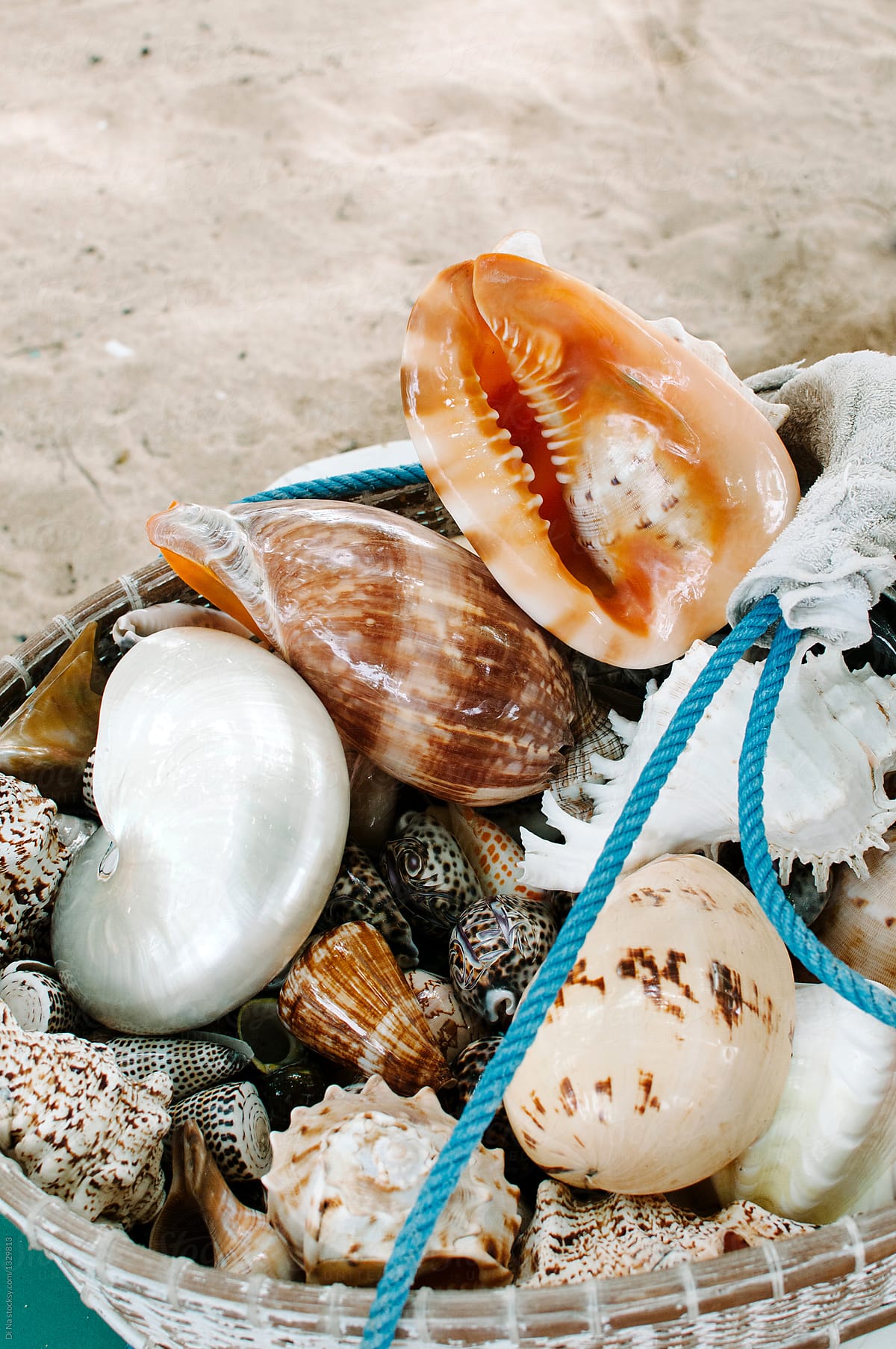 Basket with seashells on the beach