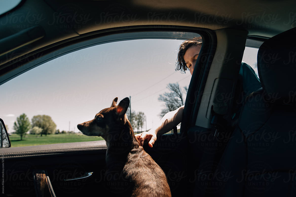 Boy petting dog in car.