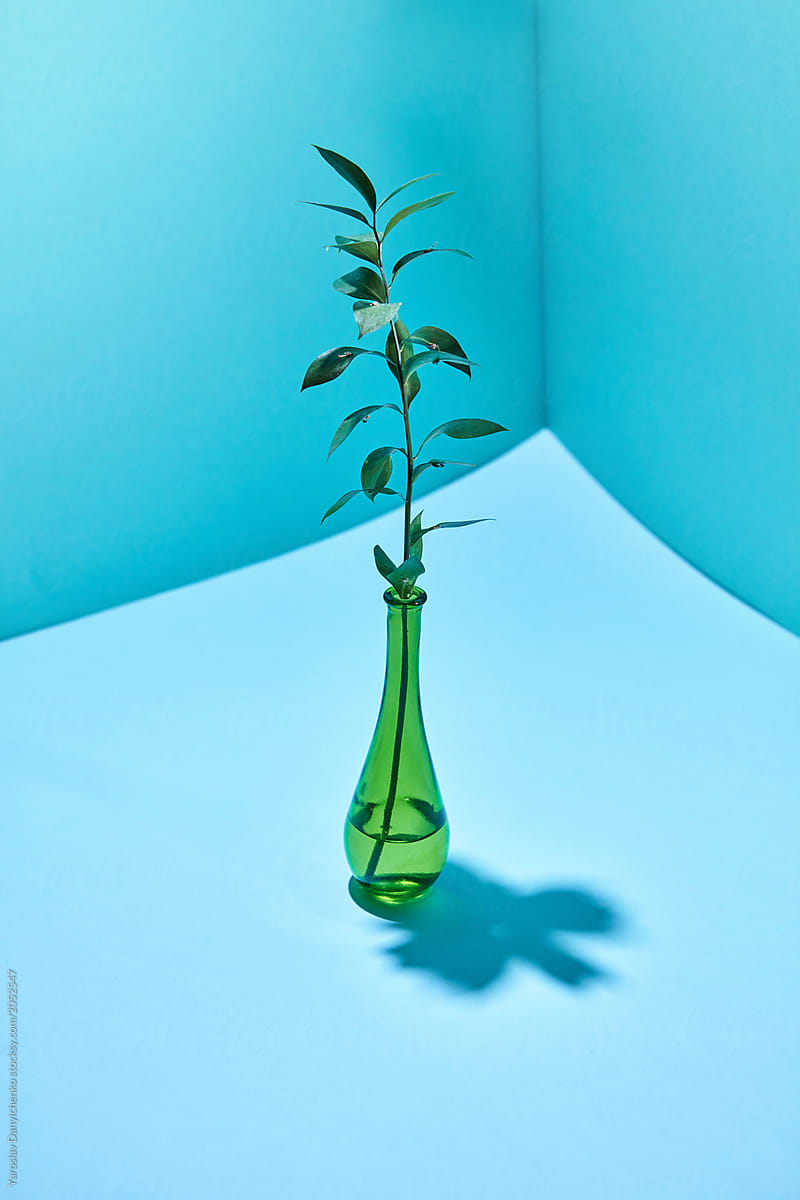 Branch with green leaves in a glass green bottle