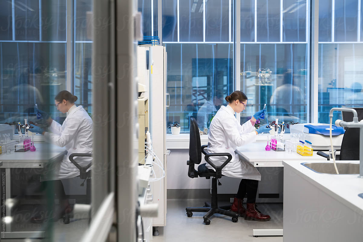 Researcher Working In The Modern Laboratory Room