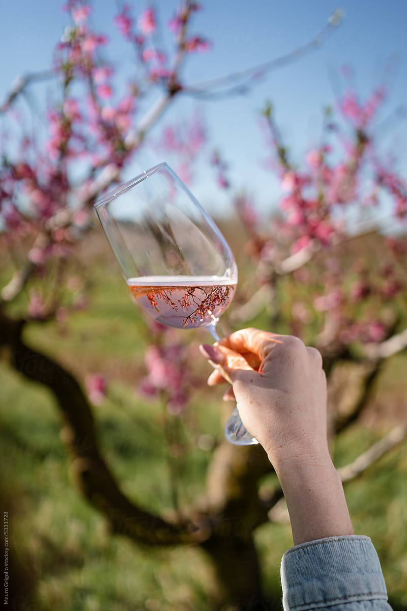 A woman holds a glass of rose wine in nature