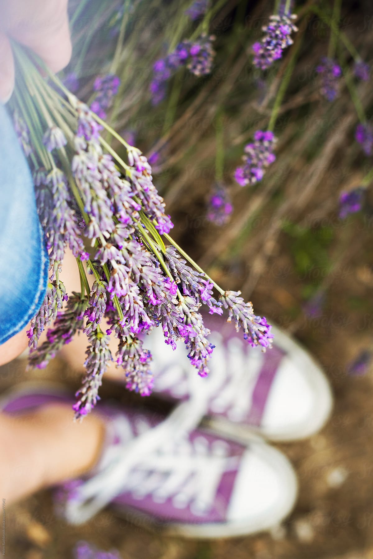 Purple sneakers and lavender