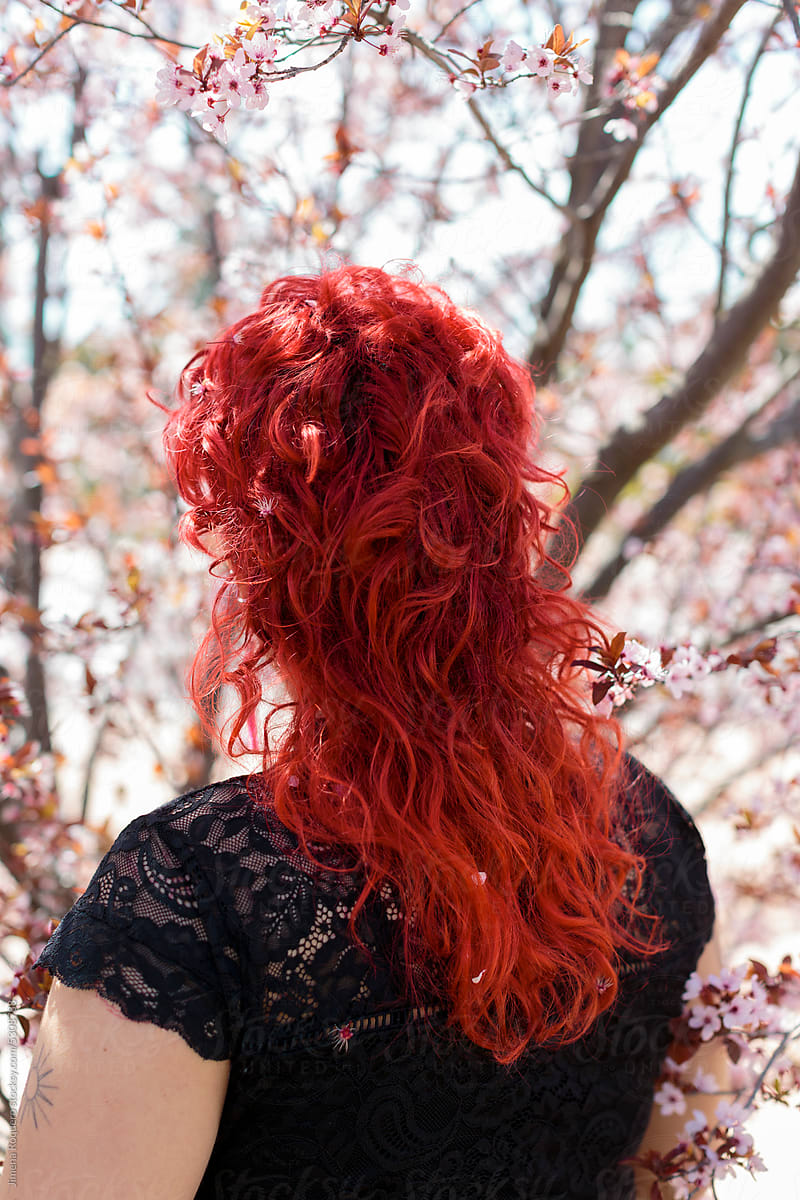 back of red-hair person by almond tree in blossom