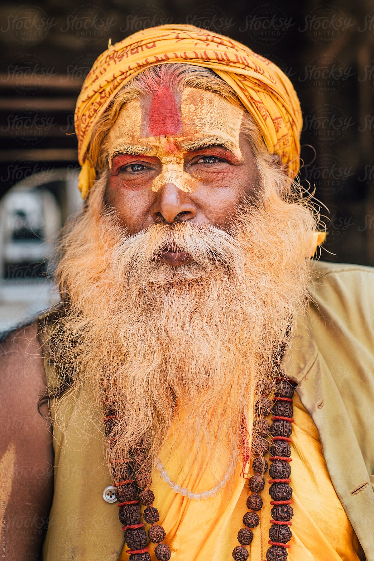 Portrait of sadhu, holy man