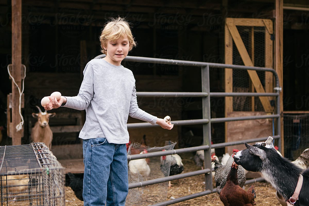 Boy holding free range eggs in barnyard