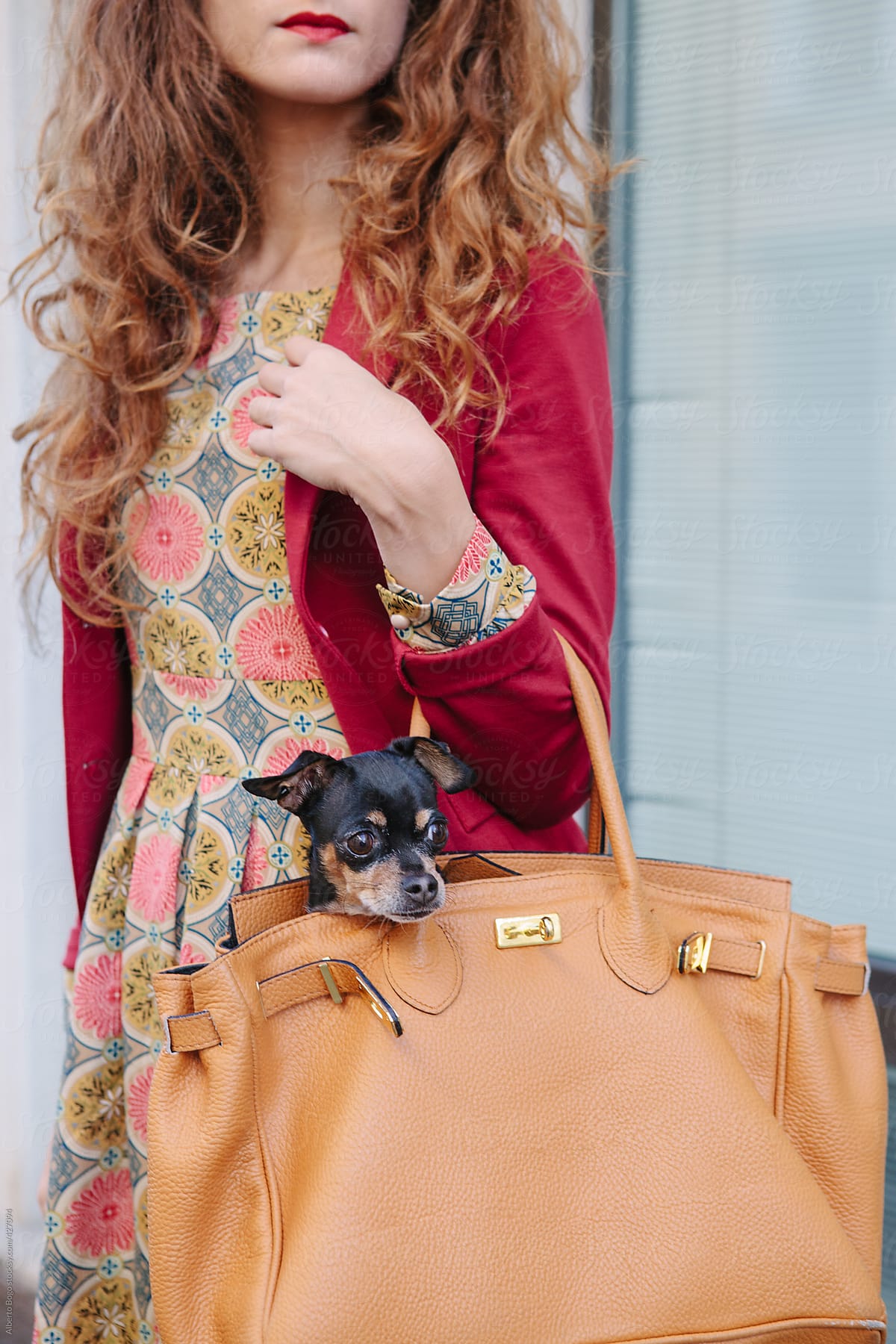 Stylish woman with little dog in a bag