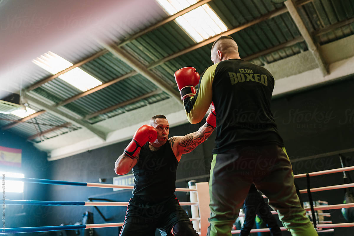 Brutal adult male fighters training in ring in gym