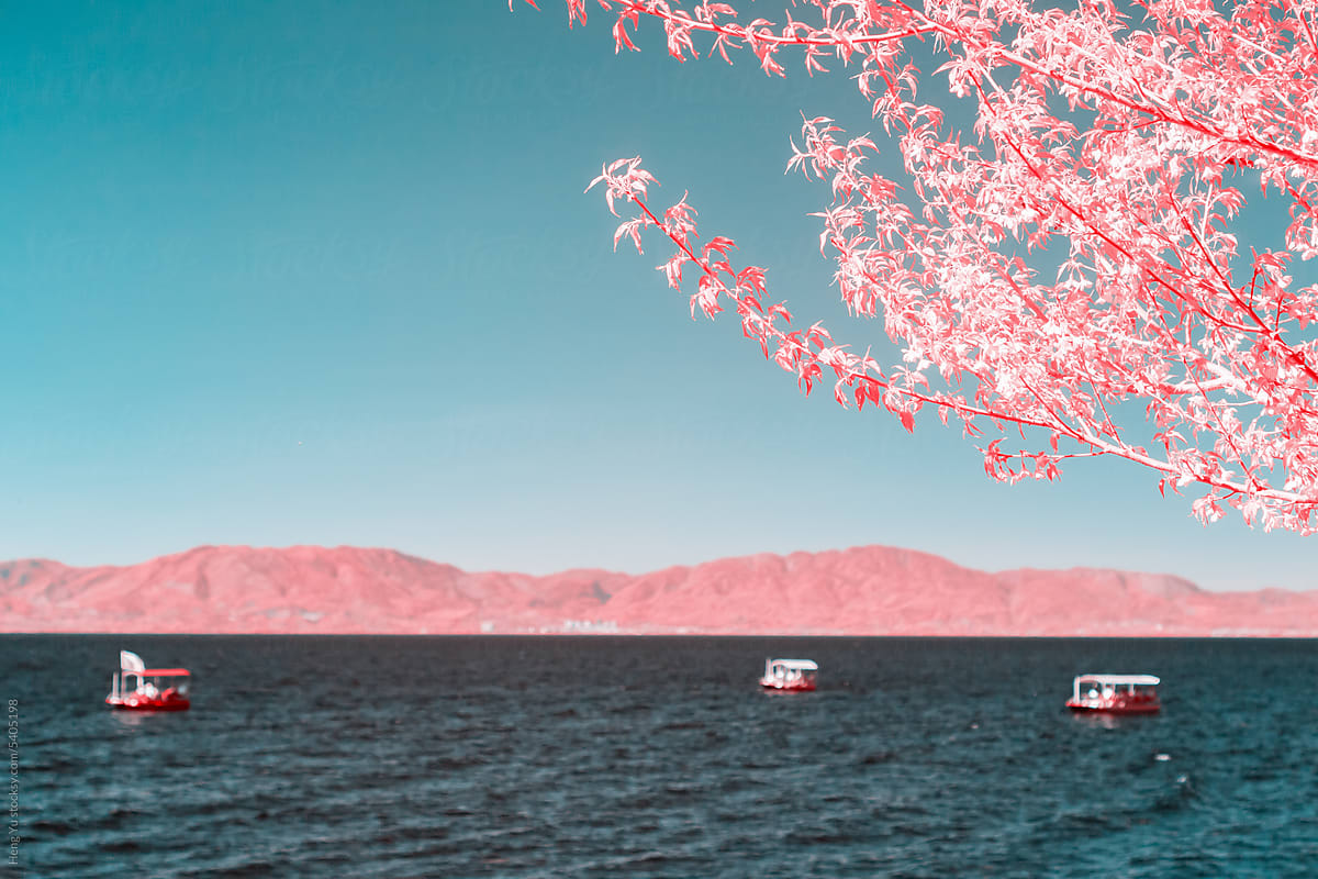 Infrared photography of lake, mountain, tree, boat.