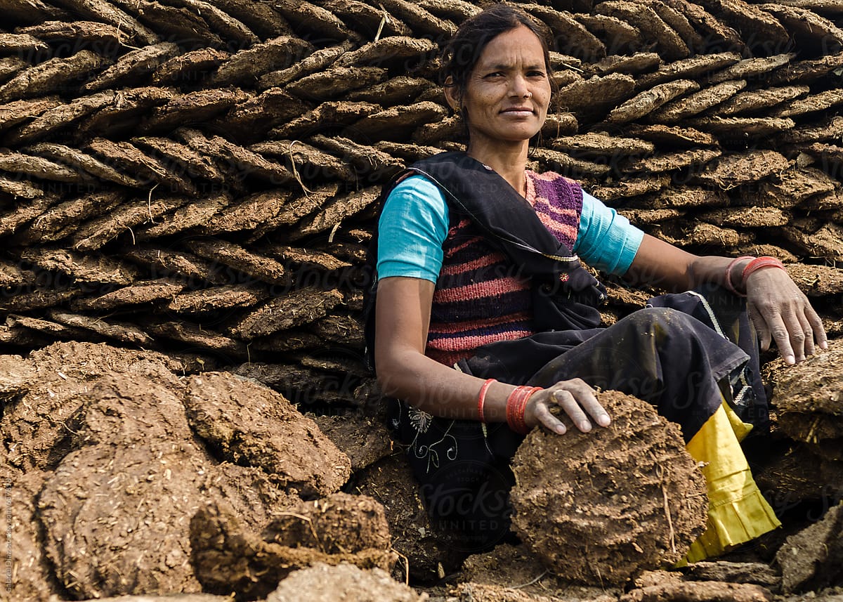 Woman making cow dung cakes in Vridavan. Cow dung is popular in india for combustion