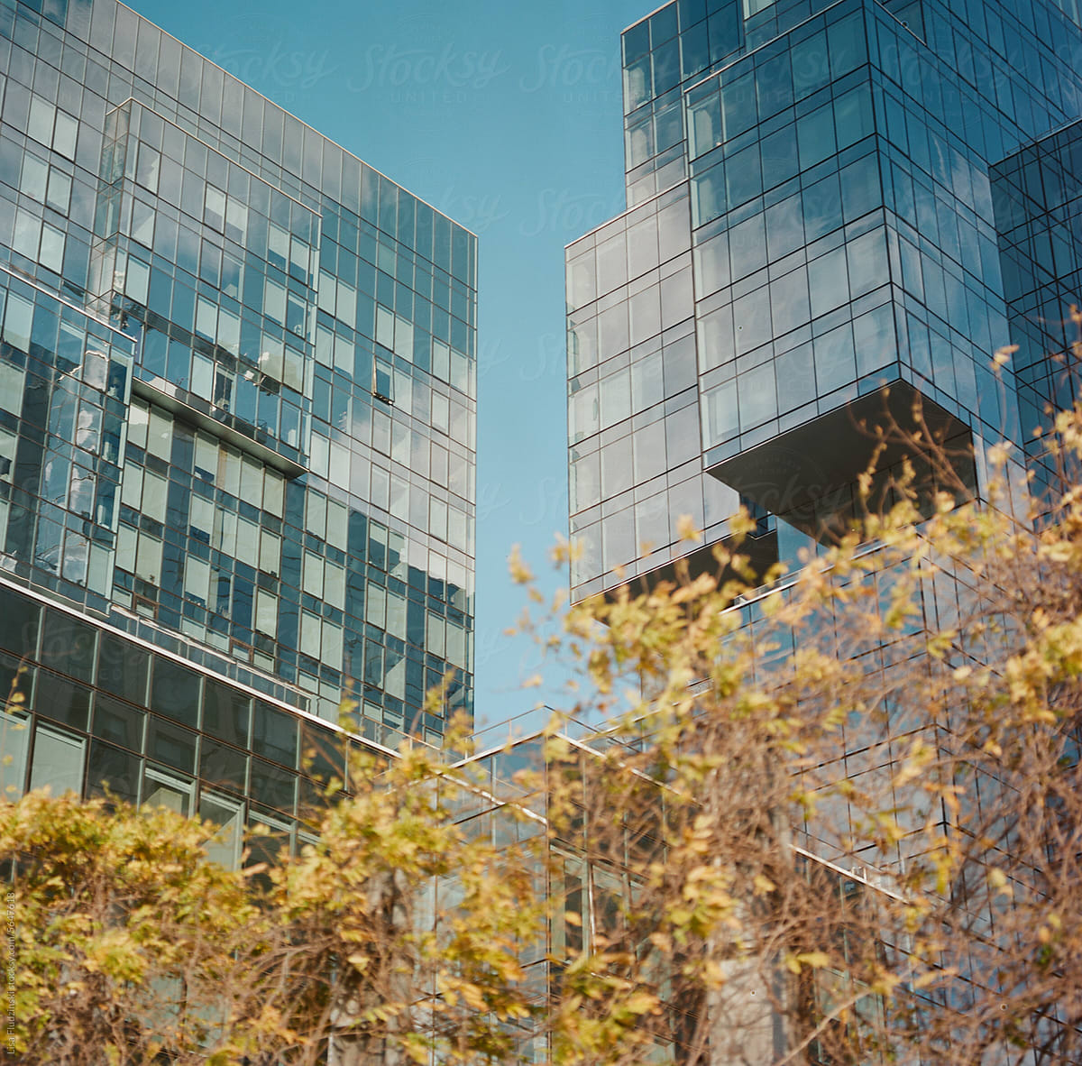 Building in Brooklyn Park