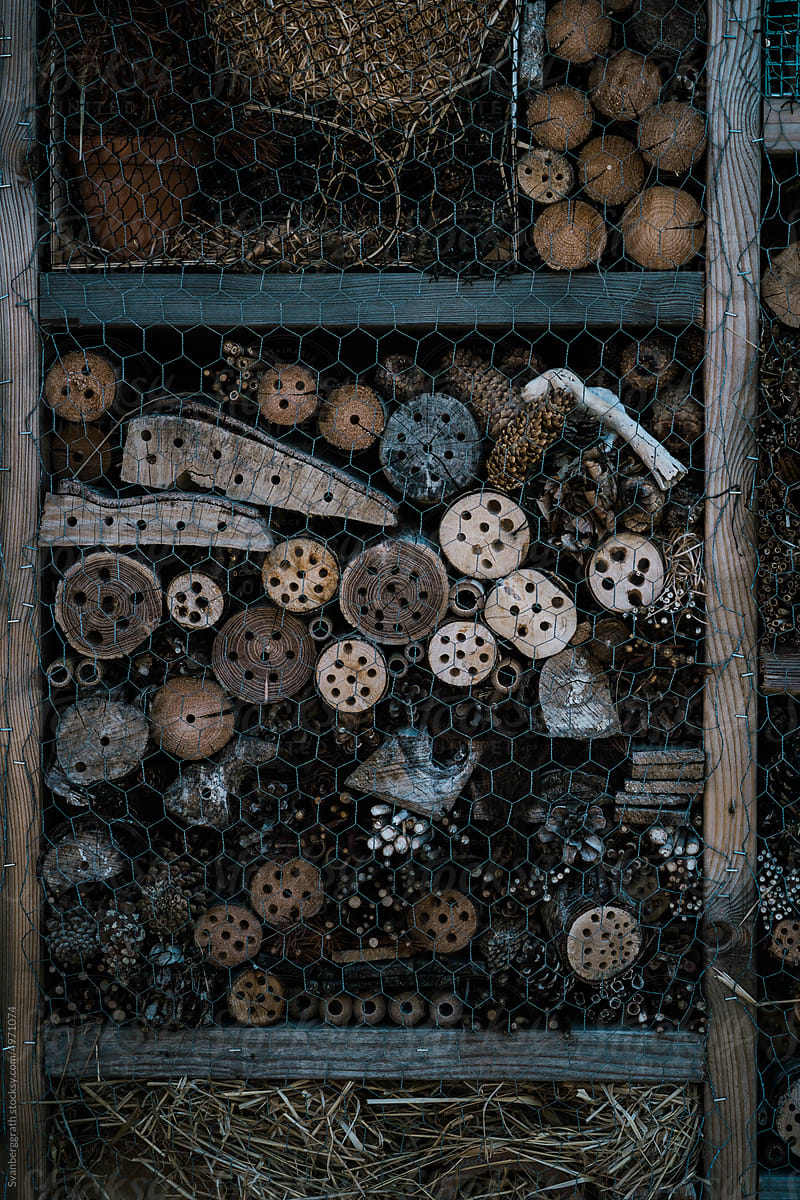 Insect Hotel zoomed in